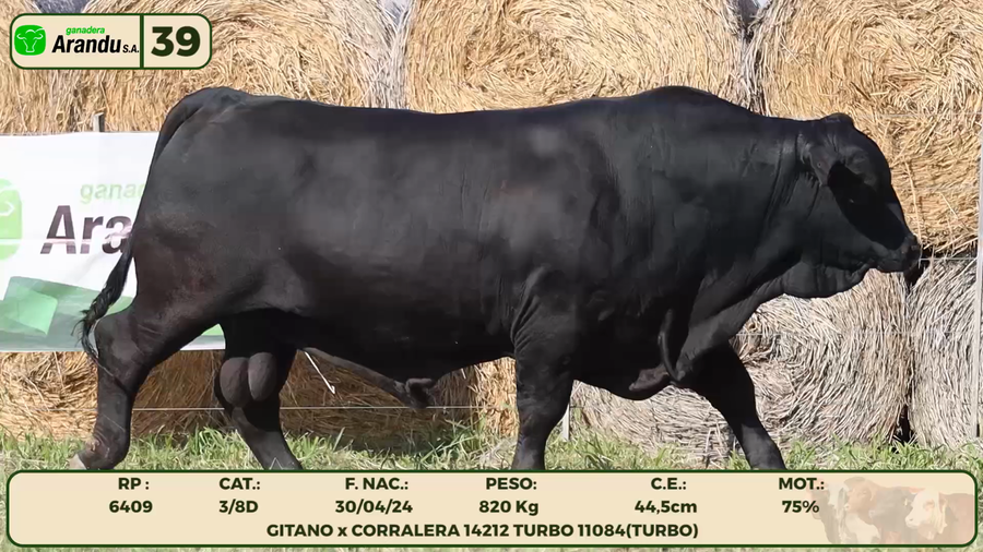 Lote LOTE 39