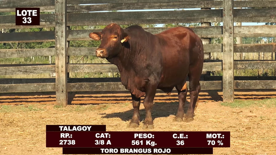 Lote Cabañas de Tradición - Lote 33