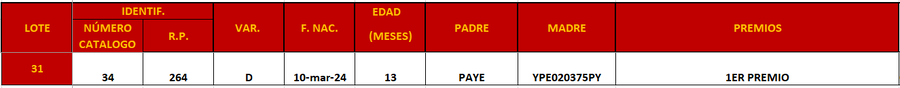 Lote LOTE 31