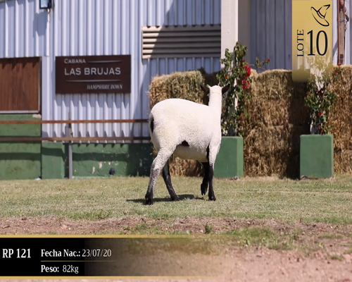 Lote Borregas a remate en Cabaña Las Brujas, San José