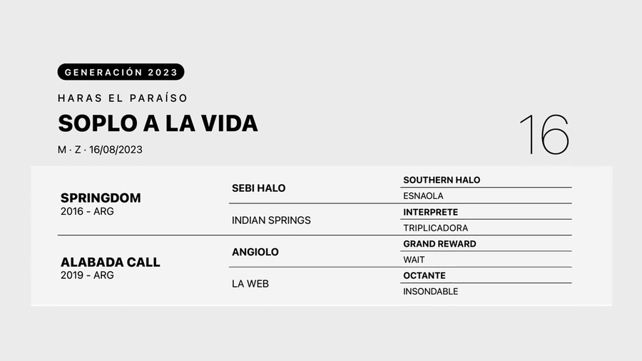 Lote SOPLO A LA VIDA