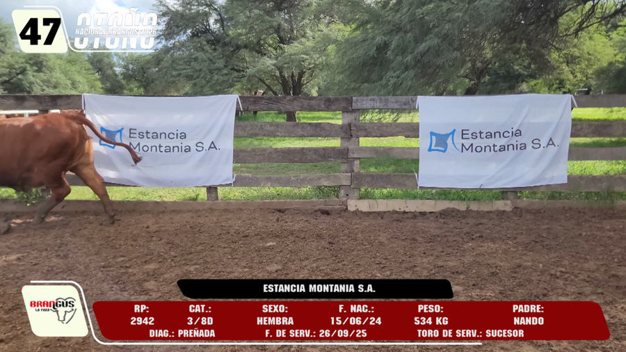 Lote LOTE 47 -DE CAMPO