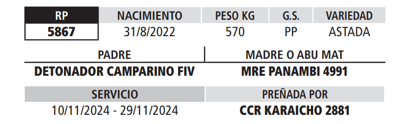 Lote LOTE 1