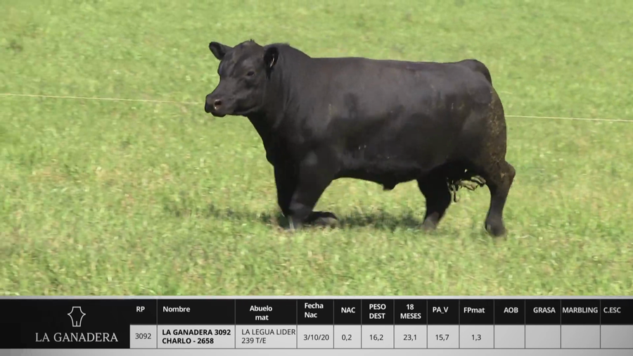 Lote LA GANADERA 3092 CHARLO - 2658