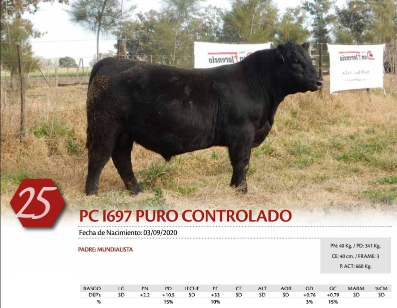 Lote TORO