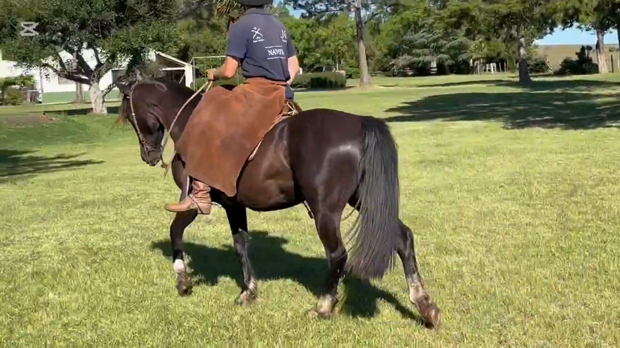 Lote GS FERNET DE SAN PEDRO