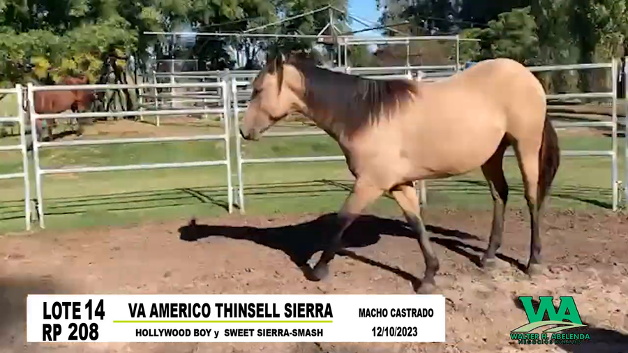 Lote VA AMERICO THINSELL SIERRA