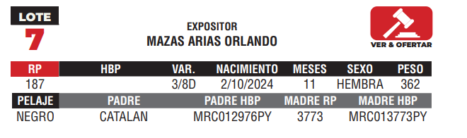 Lote LOTE 7 - JUNIOR