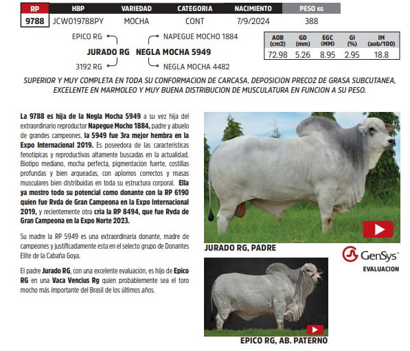 Lote LOTE 46- DE BOZAL
