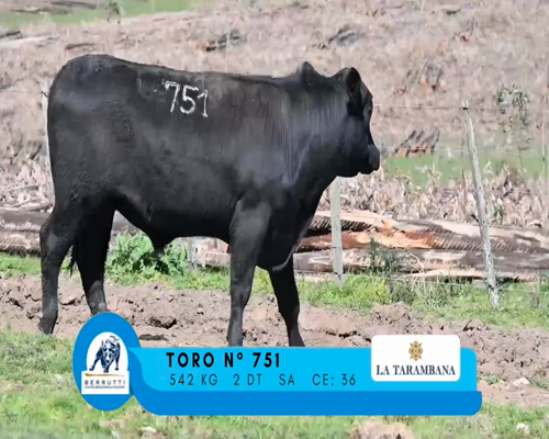 Lote TORO 751