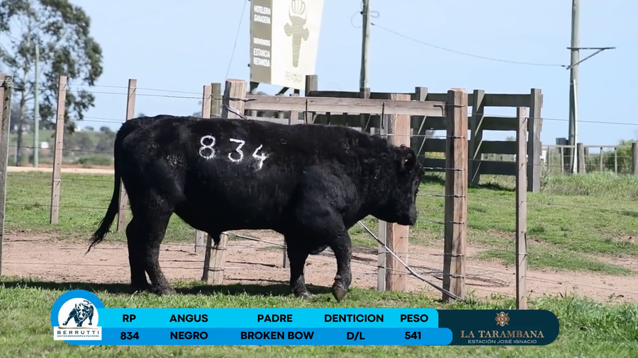 Lote Toro