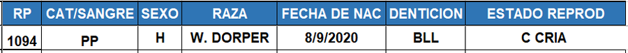 Lote LOTE 31
