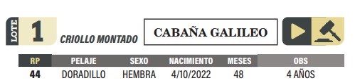 Lote LOTE 1