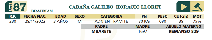 Lote LOTE 87