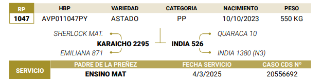 Lote LOTE 58