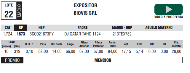 Lote LOTE 22