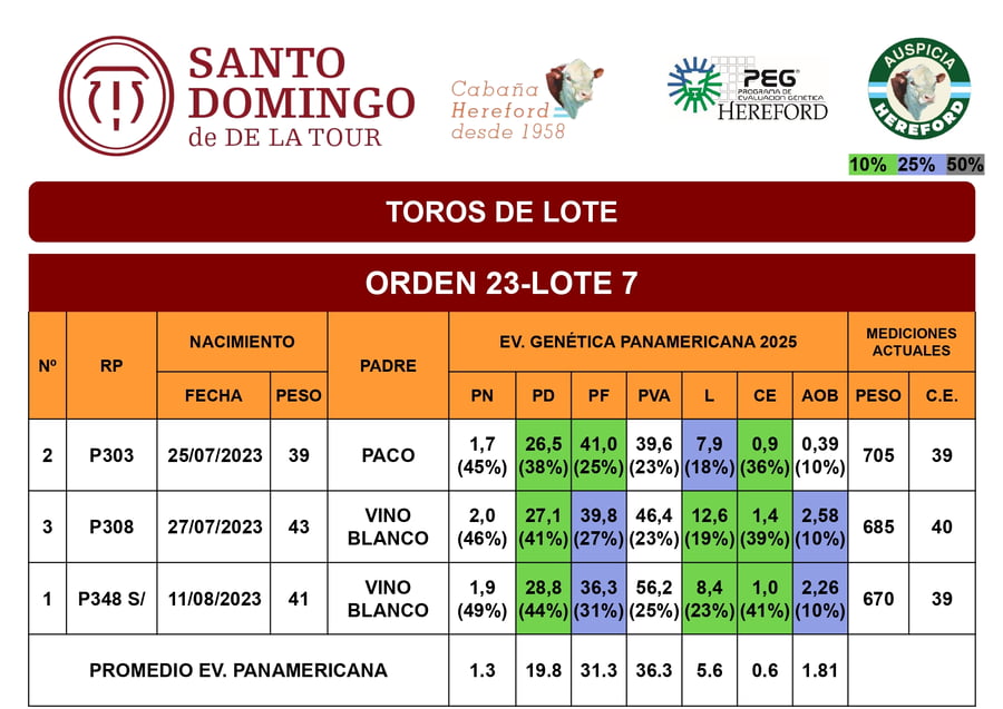 Lote Toros de Lote