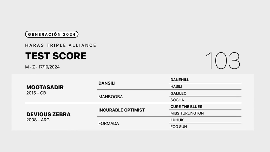 Lote 103  TEST SCORE