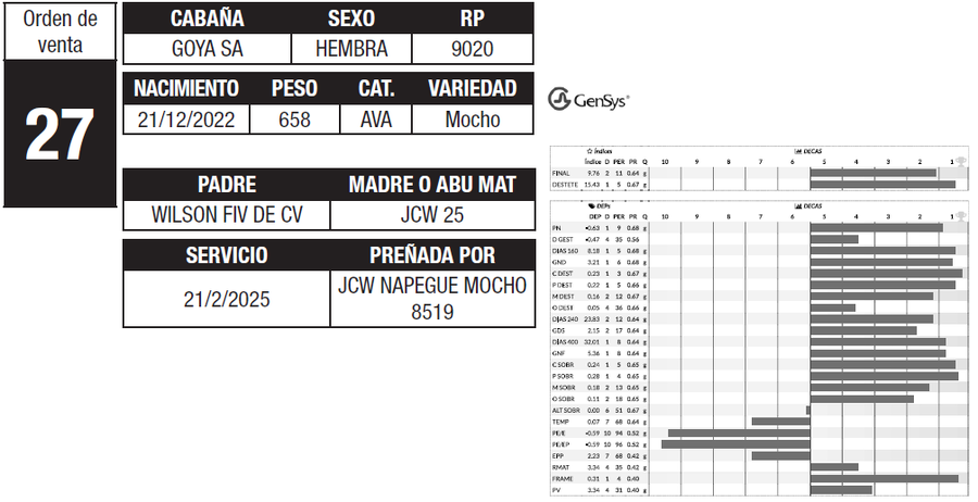 Lote LOTE 27