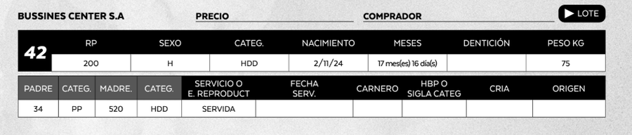 Lote LOTE 42