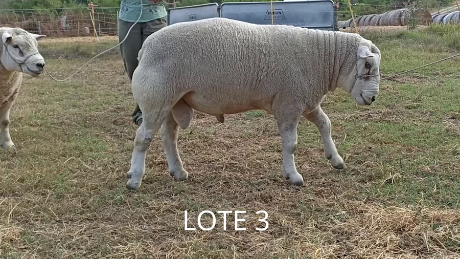 Lote Lote 3 - Colinas del Rosario