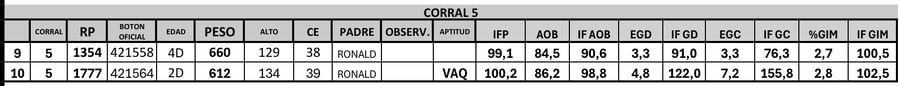 Lote 2 Toros PC
