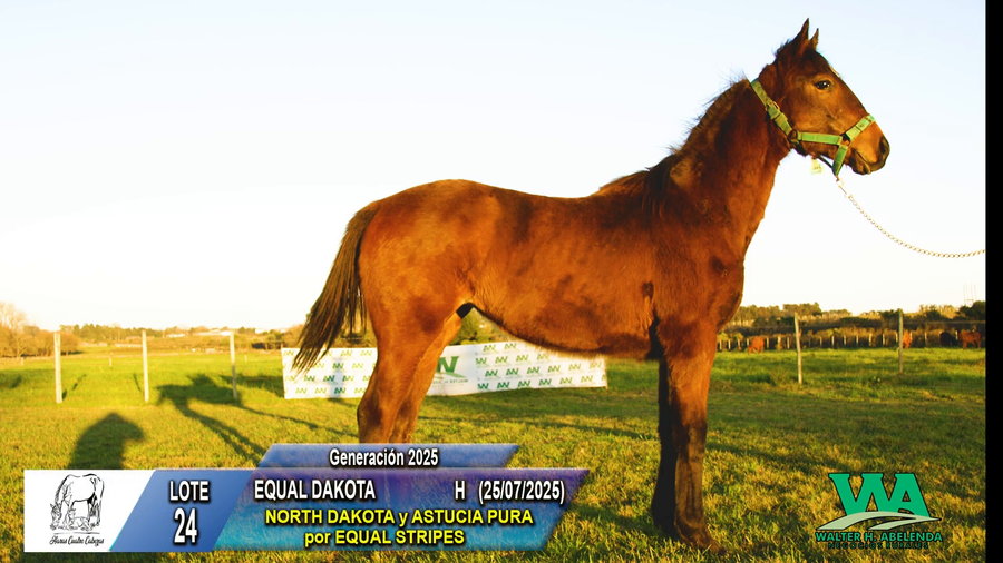 Lote EQUAL DAKOTA