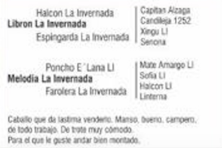 Lote CORAJUDO DEL QUEBRACHAL