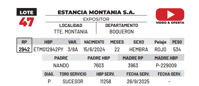 Lote LOTE 47 -DE CAMPO