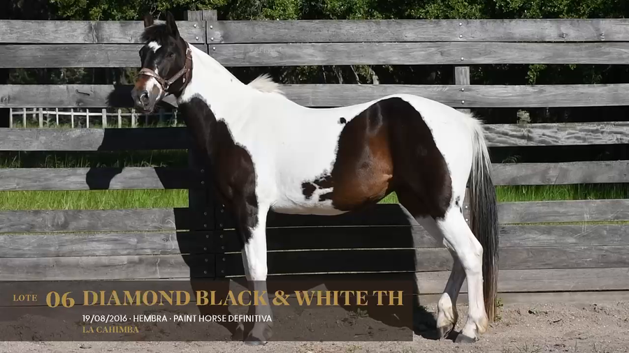 Lote Diamond Black & White TH