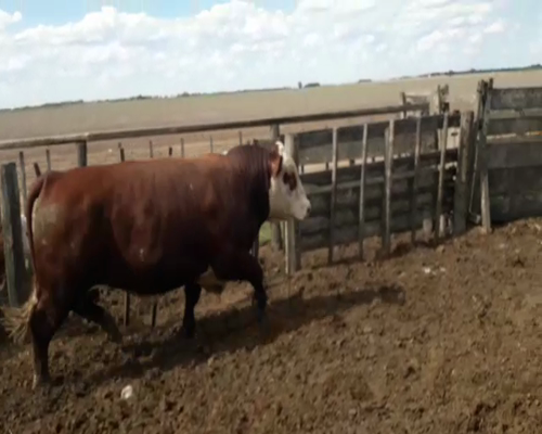 Lote NO SALE A VENTA