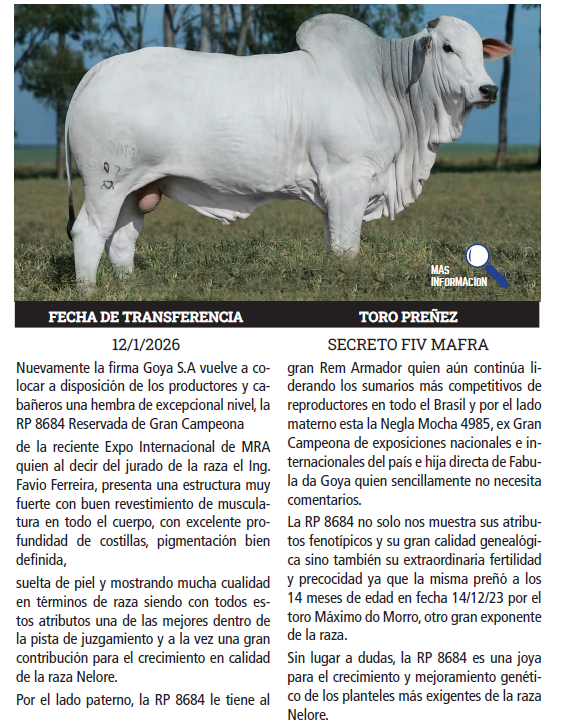 Lote LOTE 4 - PREÑECES