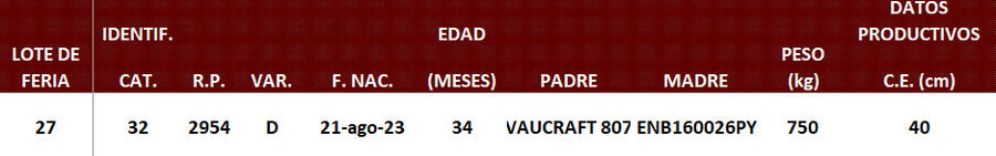 Lote LOTE 27