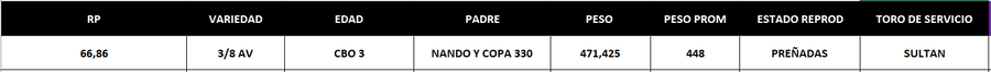Lote LOTE 49