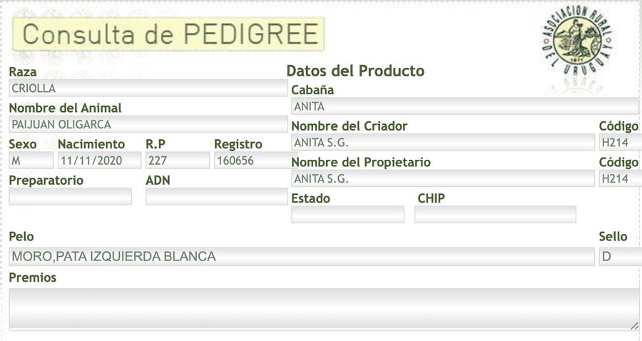 Lote Paijuan Oligarca