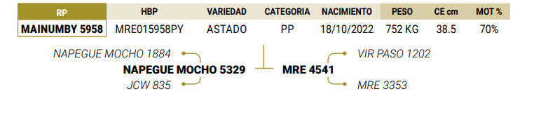 Lote LOTE 11