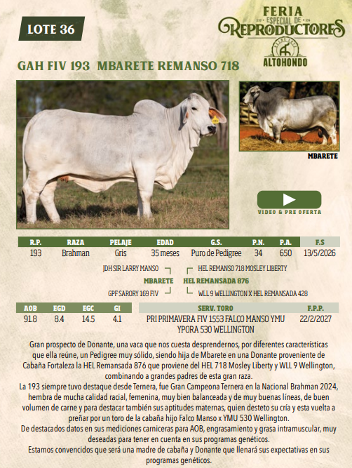 Lote LOTE 36