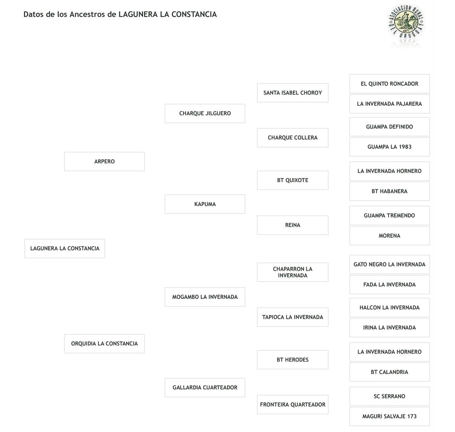 Lote Cabaña "La Constancia" - RP 31 - Lagunera La Constancia