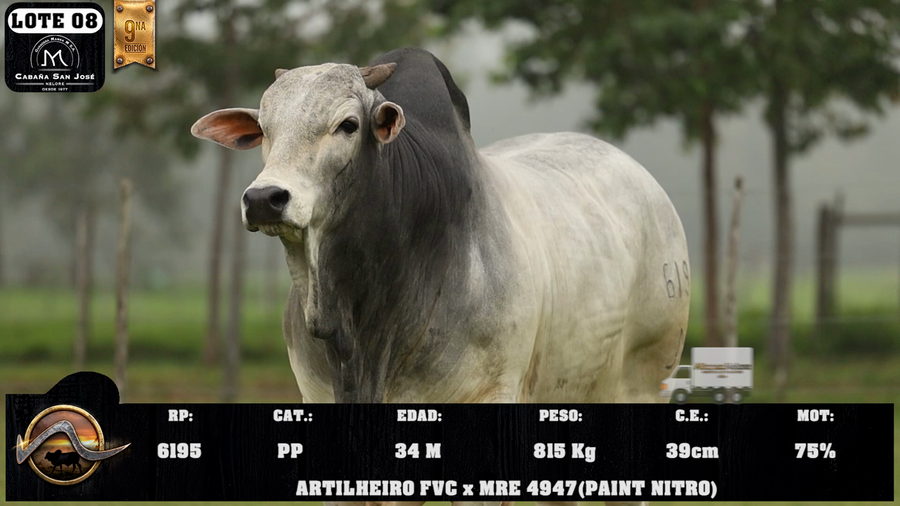 Lote LOTE 8