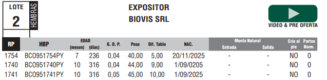 Lote LOTE 2