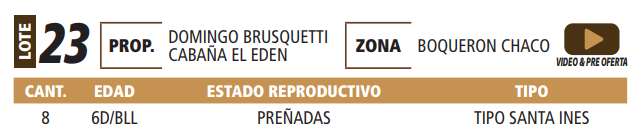 Lote LOTE 23 -POR PANTALLA