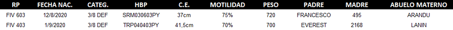 Lote LOTE 52 - DUO
