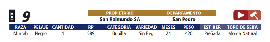 Lote LOTE 9