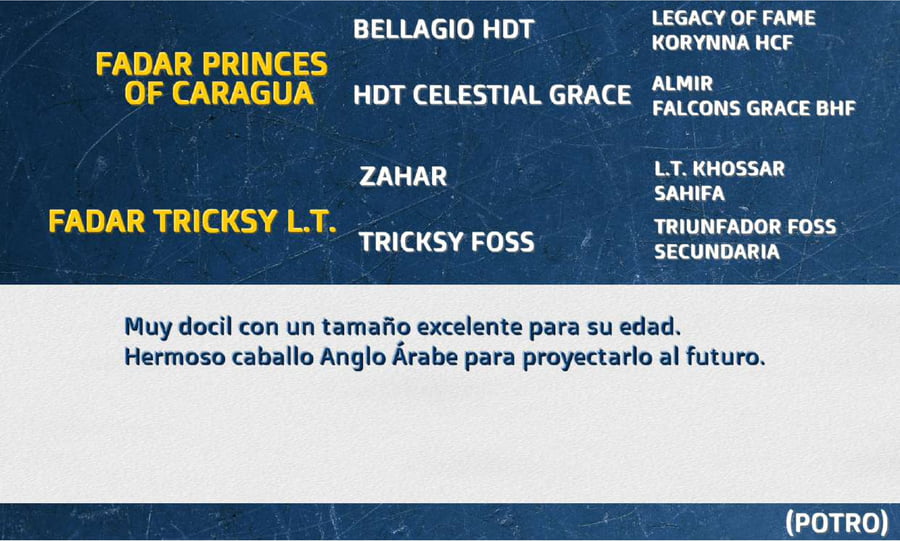 Lote FADAR PROSPECTO