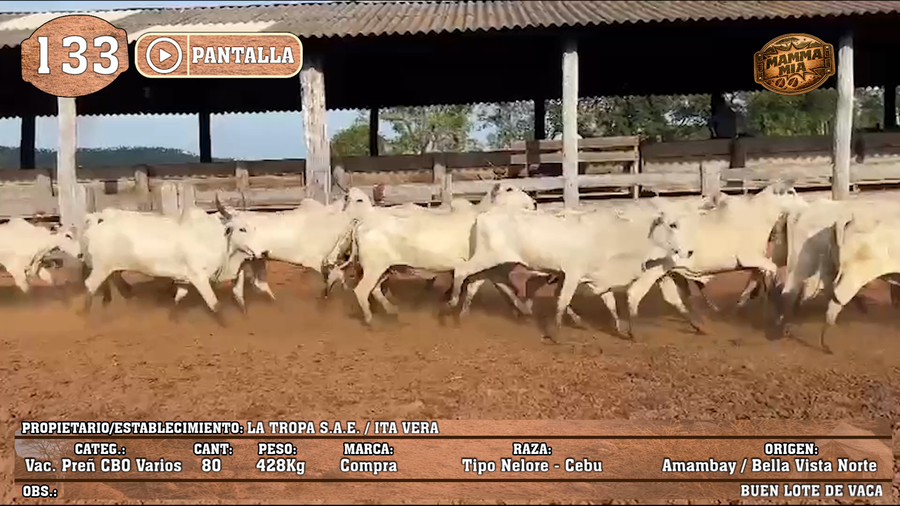 Lote LOTE 133 - PANTALLA