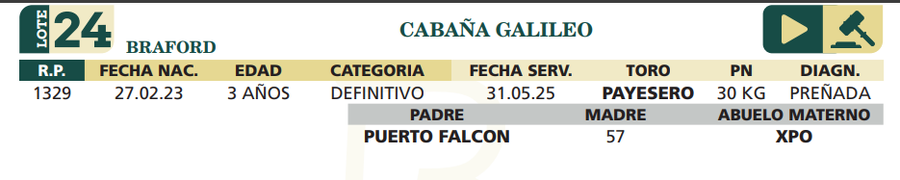 Lote LOTE 24