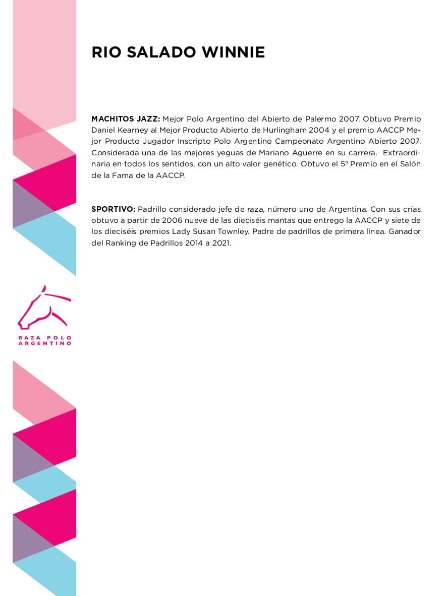 Lote RIO SALADO WINNIE (MACHITOS KRUPA - WILLOW)