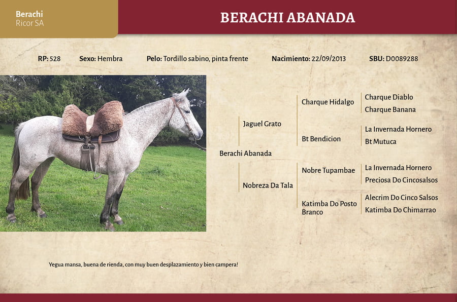 Lote Berachi Abanada (RP 528) - Cabaña Berachi