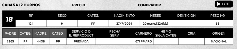 Lote LOTE 18