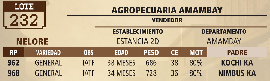 Lote LOTE 232 - VIVO